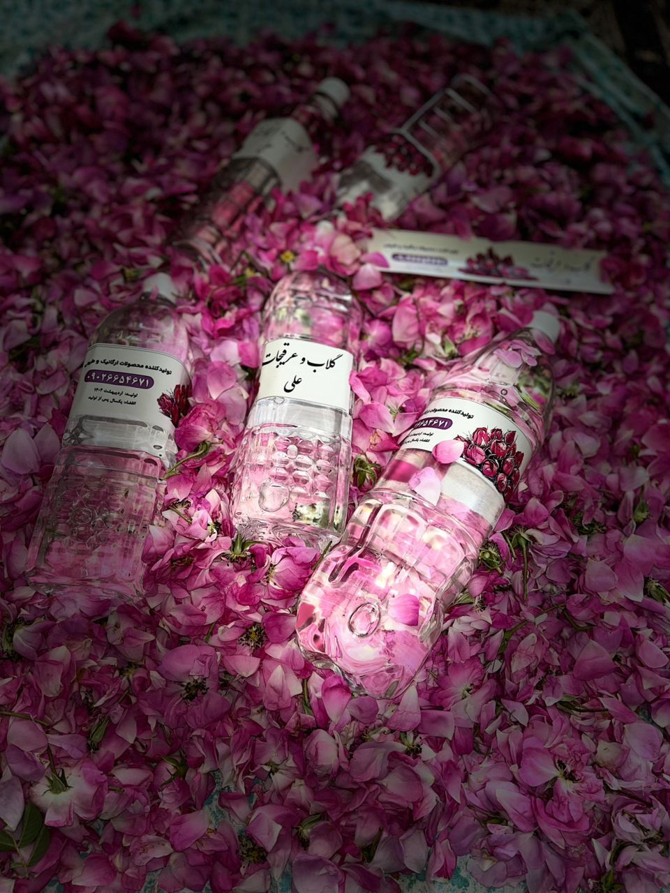 گلاب درجه ۱ طبیعی