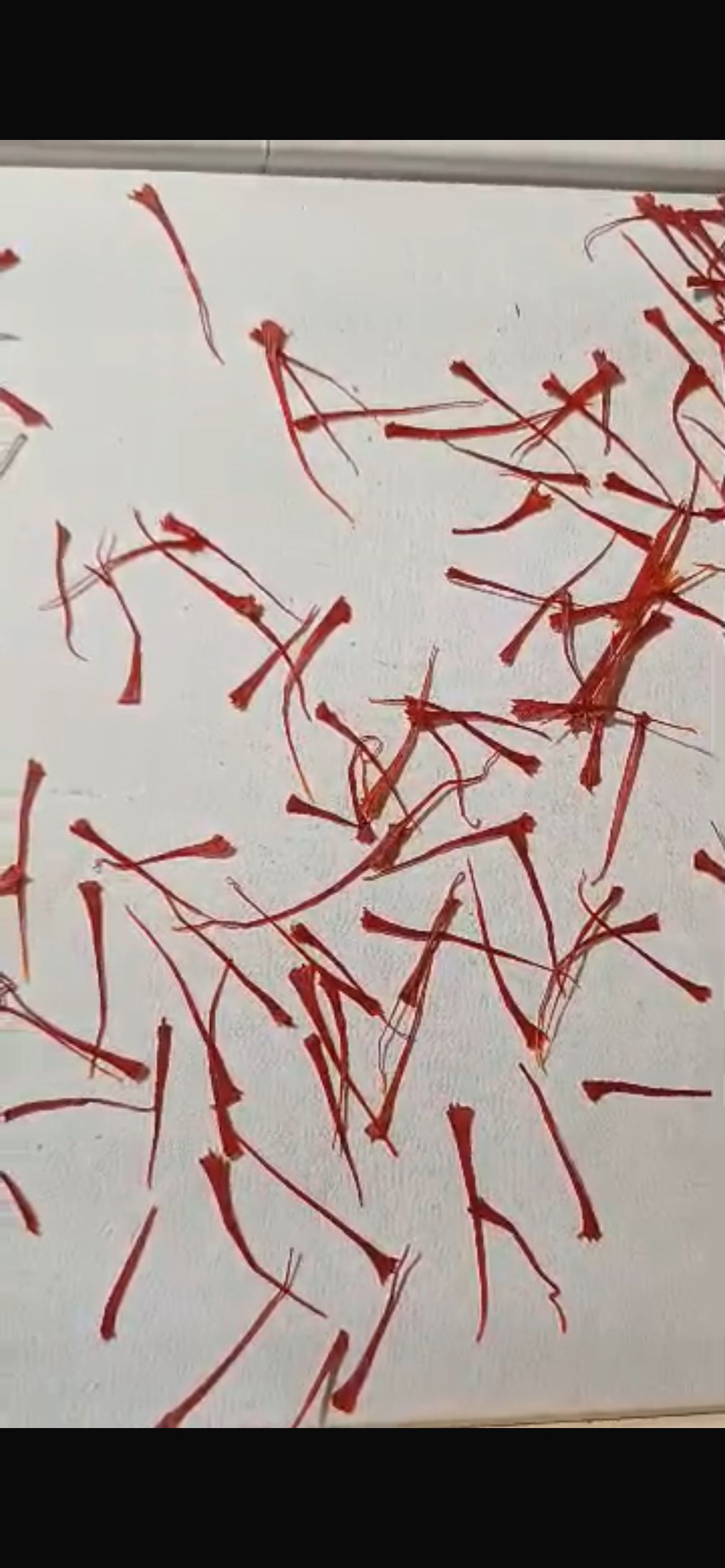 Saffron زعفران درجه 1