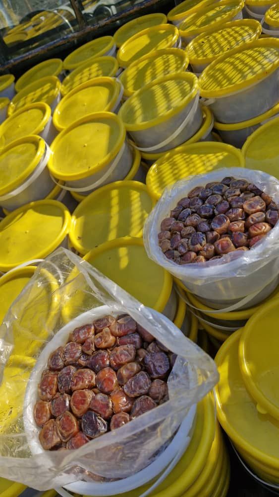 خرمای برحی خوزستان