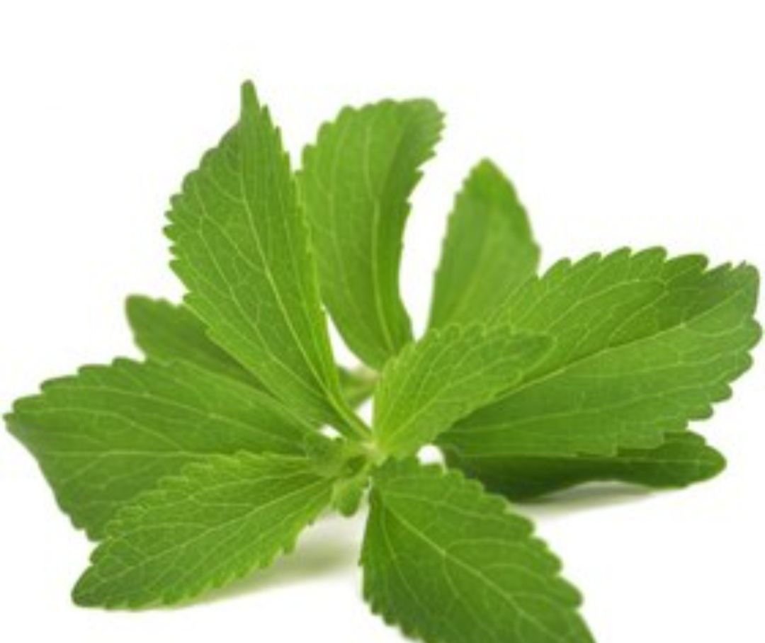 فروش گیاهان دارویی 