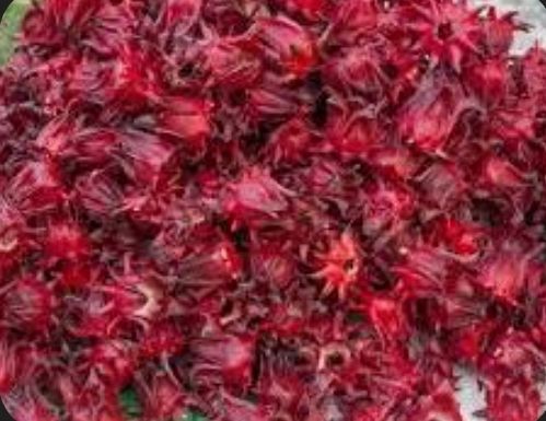 فروش گیاهان دارویی 