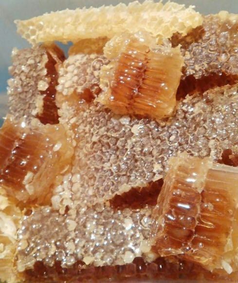 عسل درمانی خالص با برگه ی آزمایشگاه 