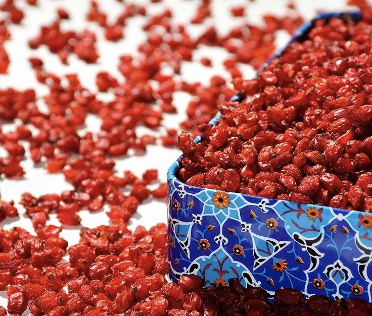 طلای سرخ مهفا