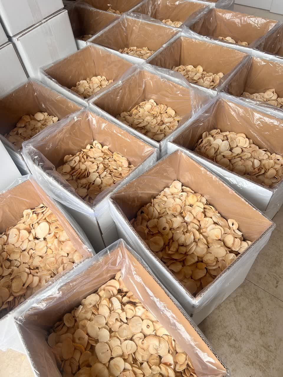 فروش موسیر خشک(اسلایس،گرانول،پودر)