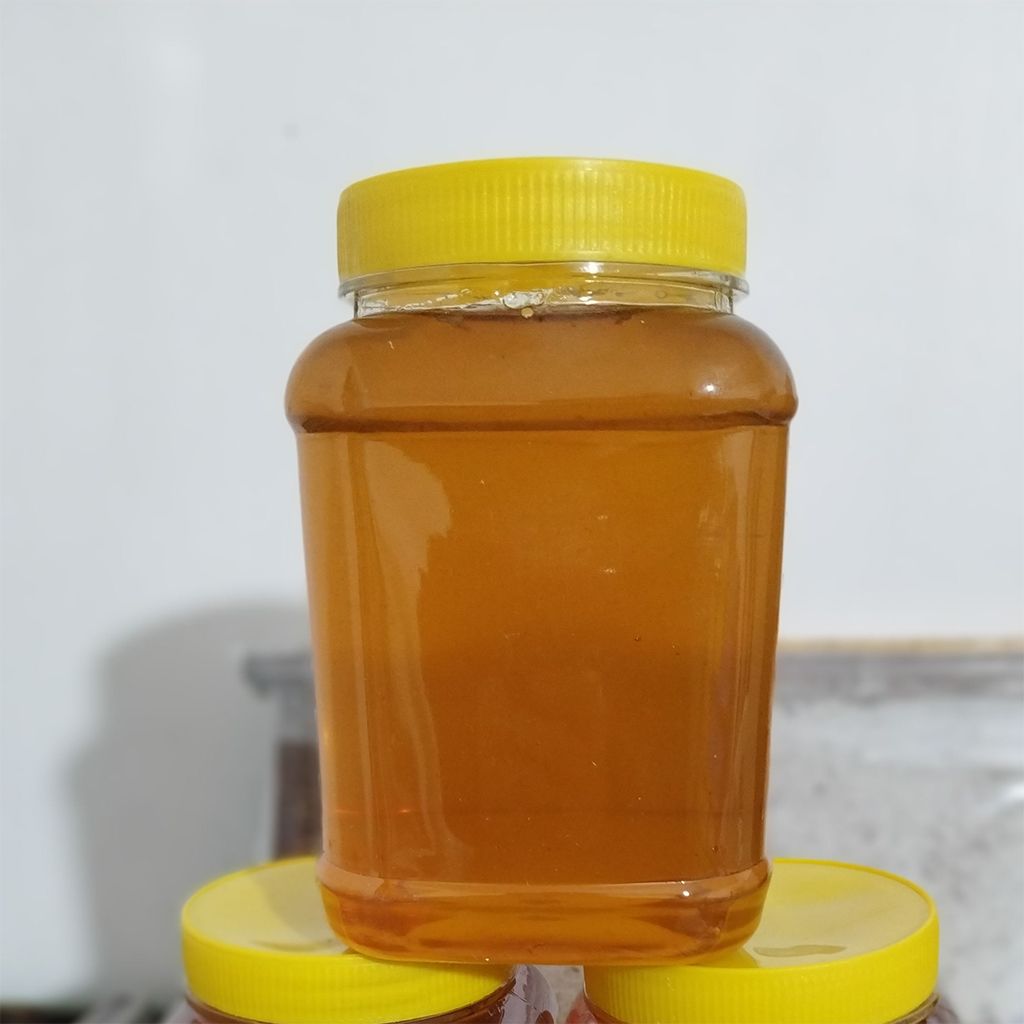 عسل طبیعی کوهستان 