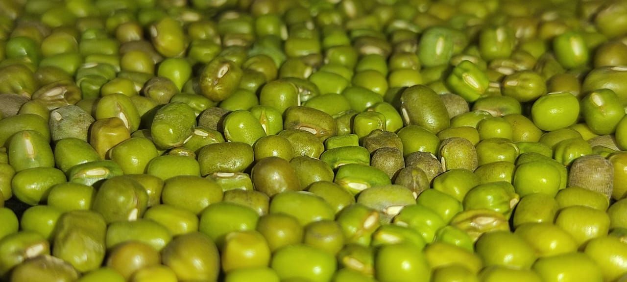 فروش حبوبات