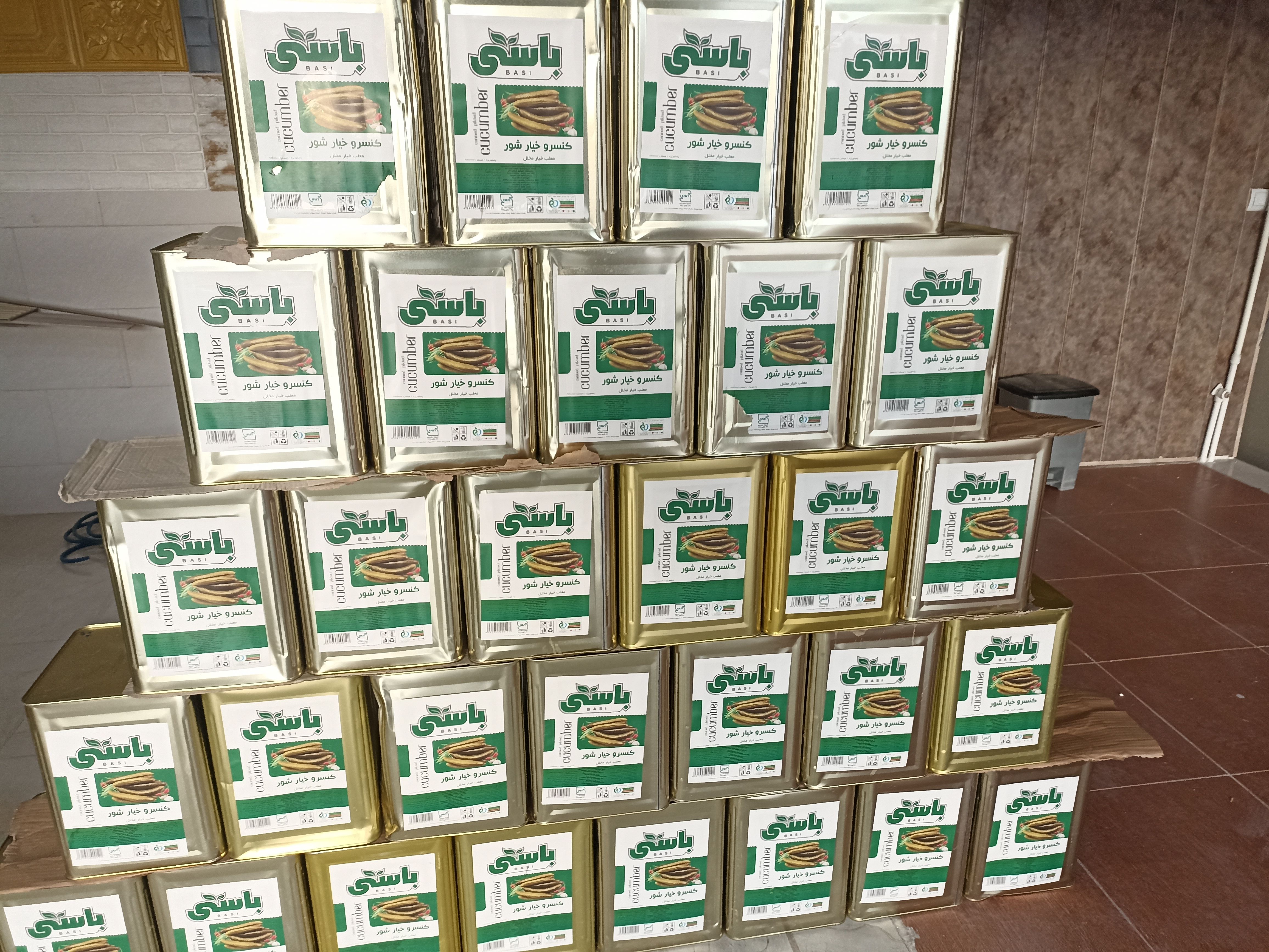 خیارشور شرکت دشت کمین 