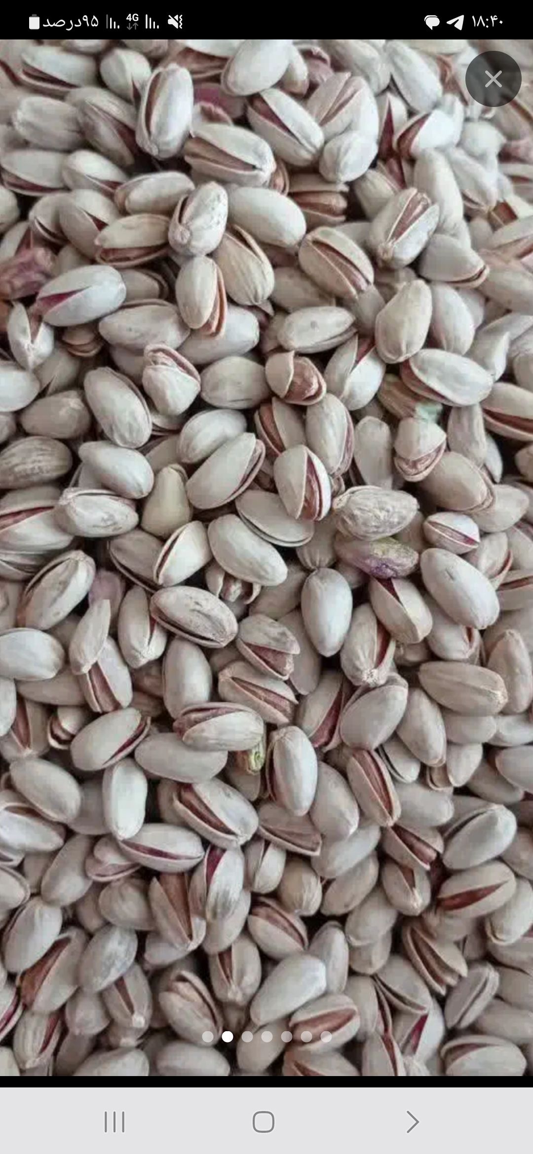 آجیلی ساجدی