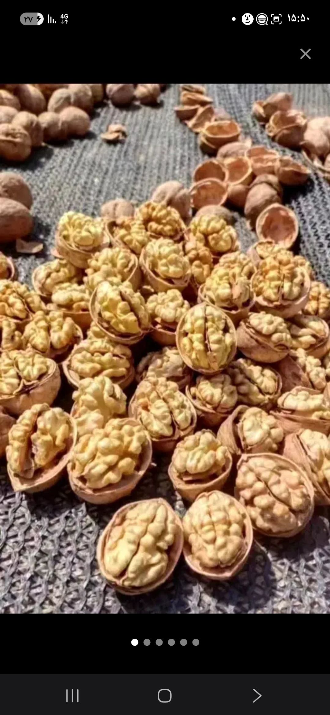 گردو  و عسل و معجون سوغات مشهد