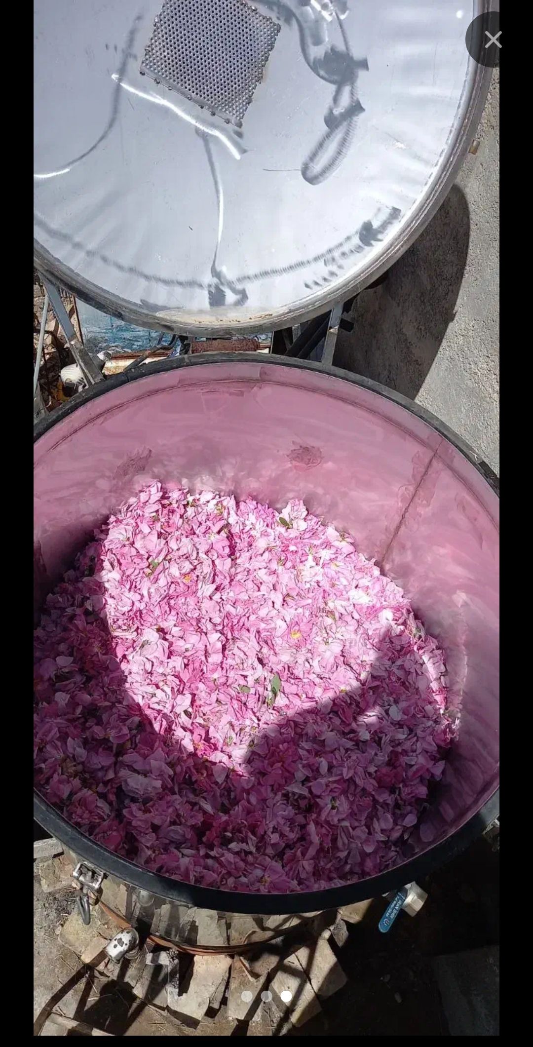 فروش مواد غذایی رستوران