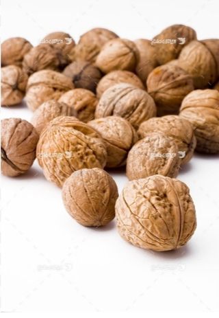 فروش سیر موسیر گردو