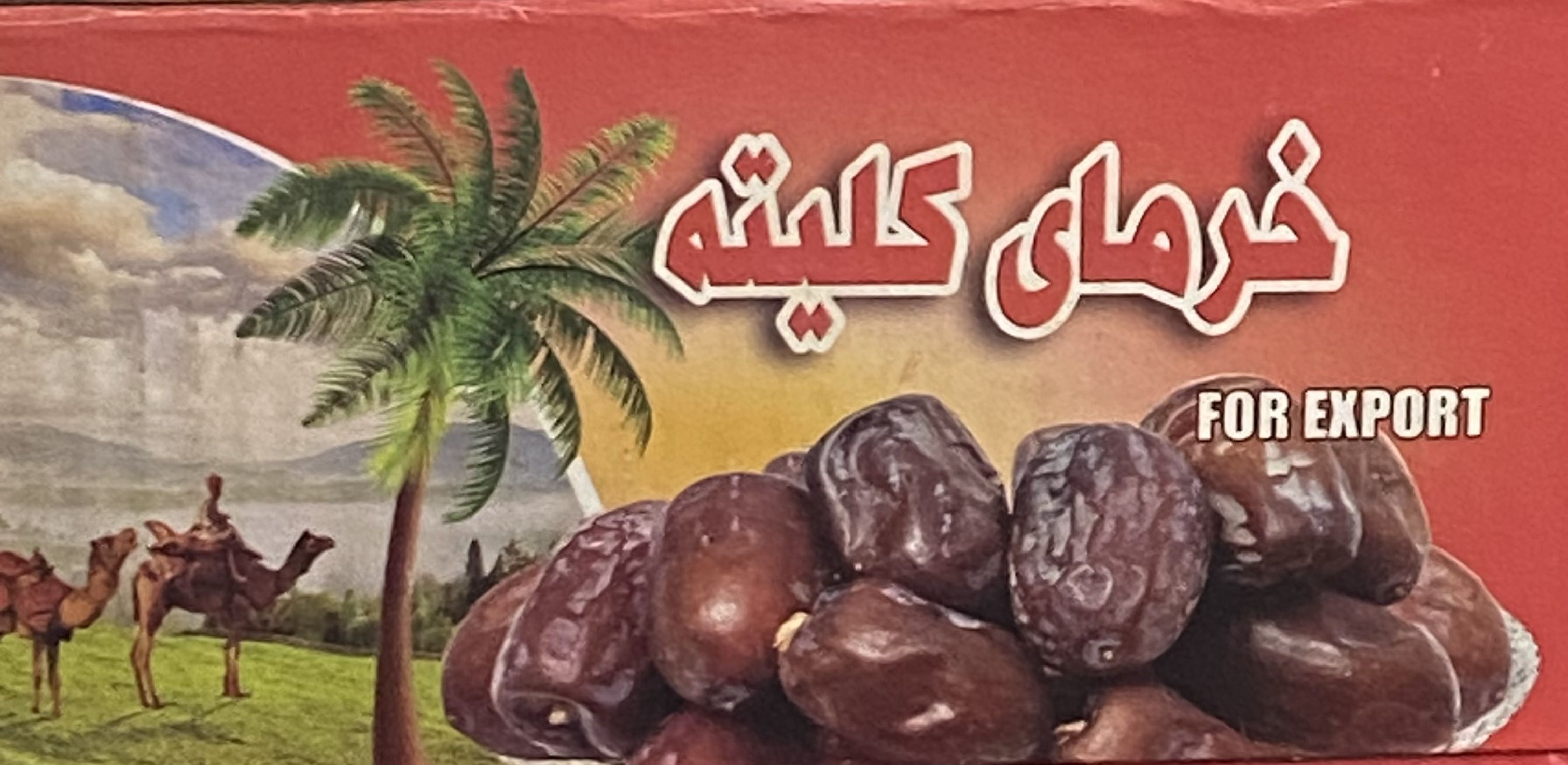خرمای صادراتی کلیته