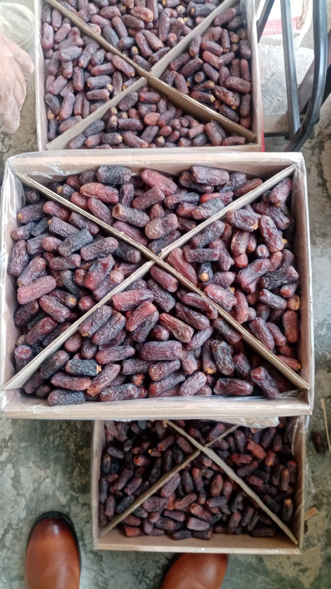 انواع خرما هرمزگان وپیارم درجه یک 