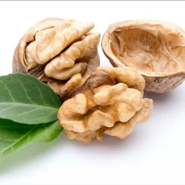گردو باغات تویسرکان استان همدان