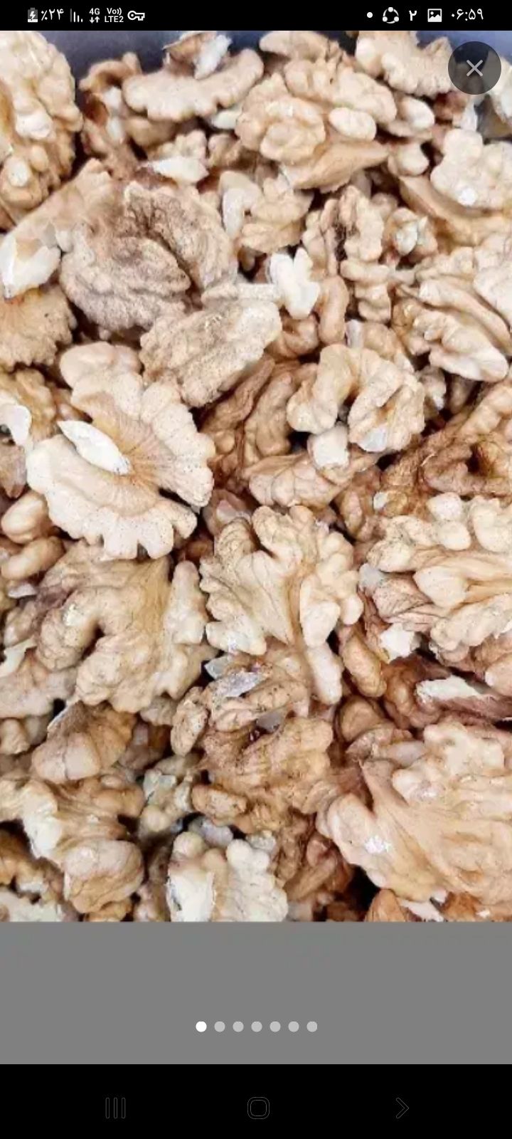گردو باغات تویسرکان استان همدان