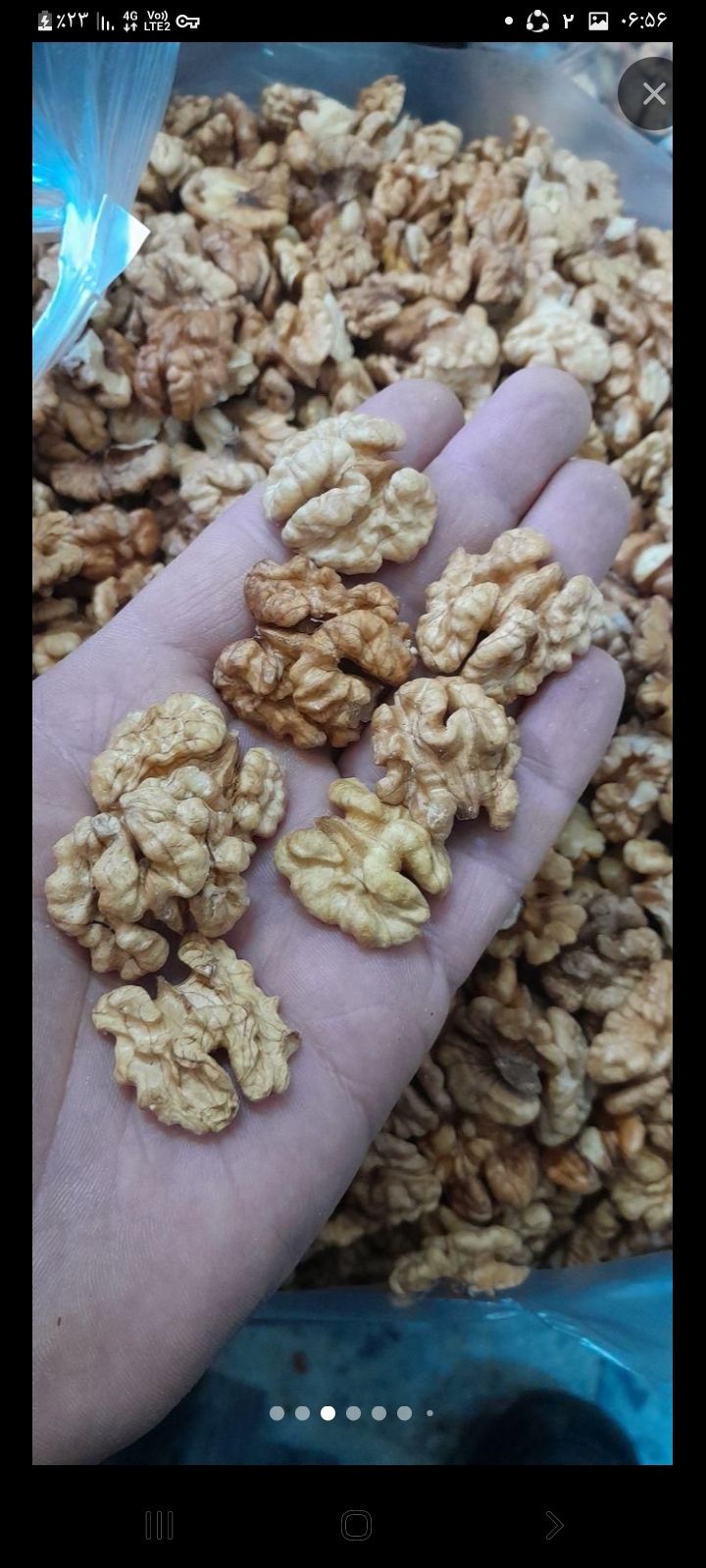 گردو باغات تویسرکان استان همدان