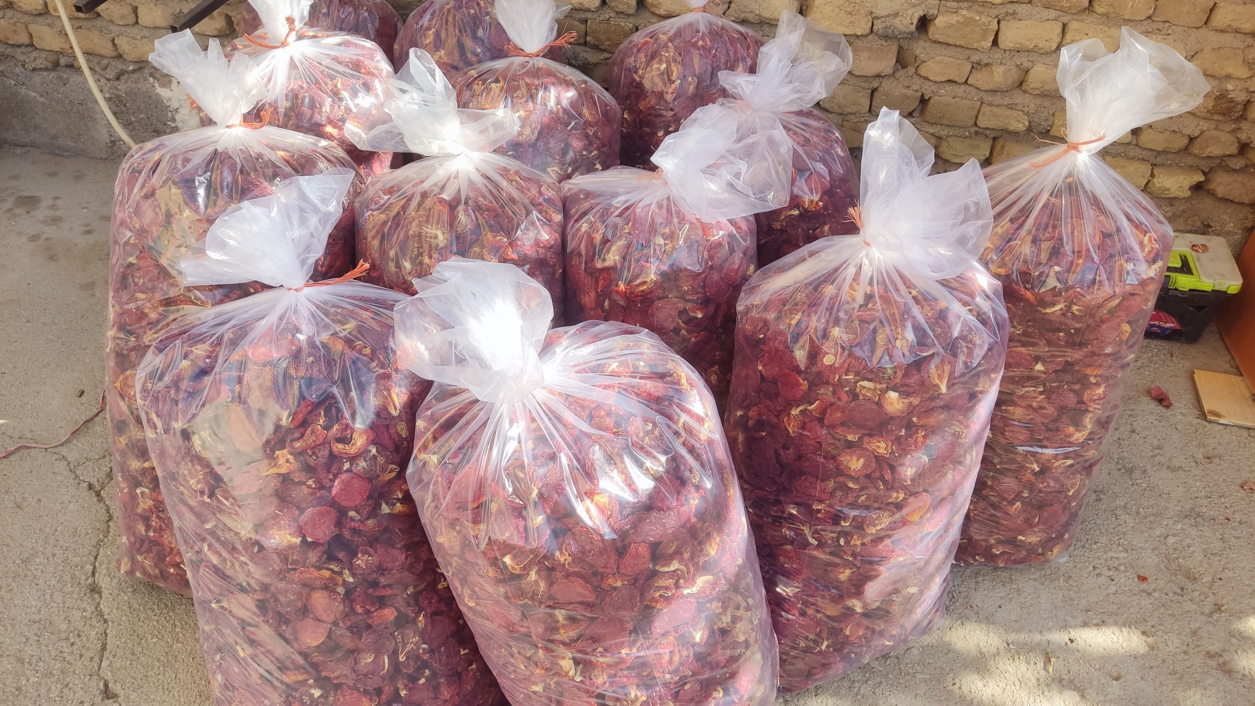 گوجه خشک 