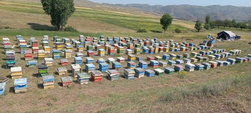 عسل طبیعی سبلان