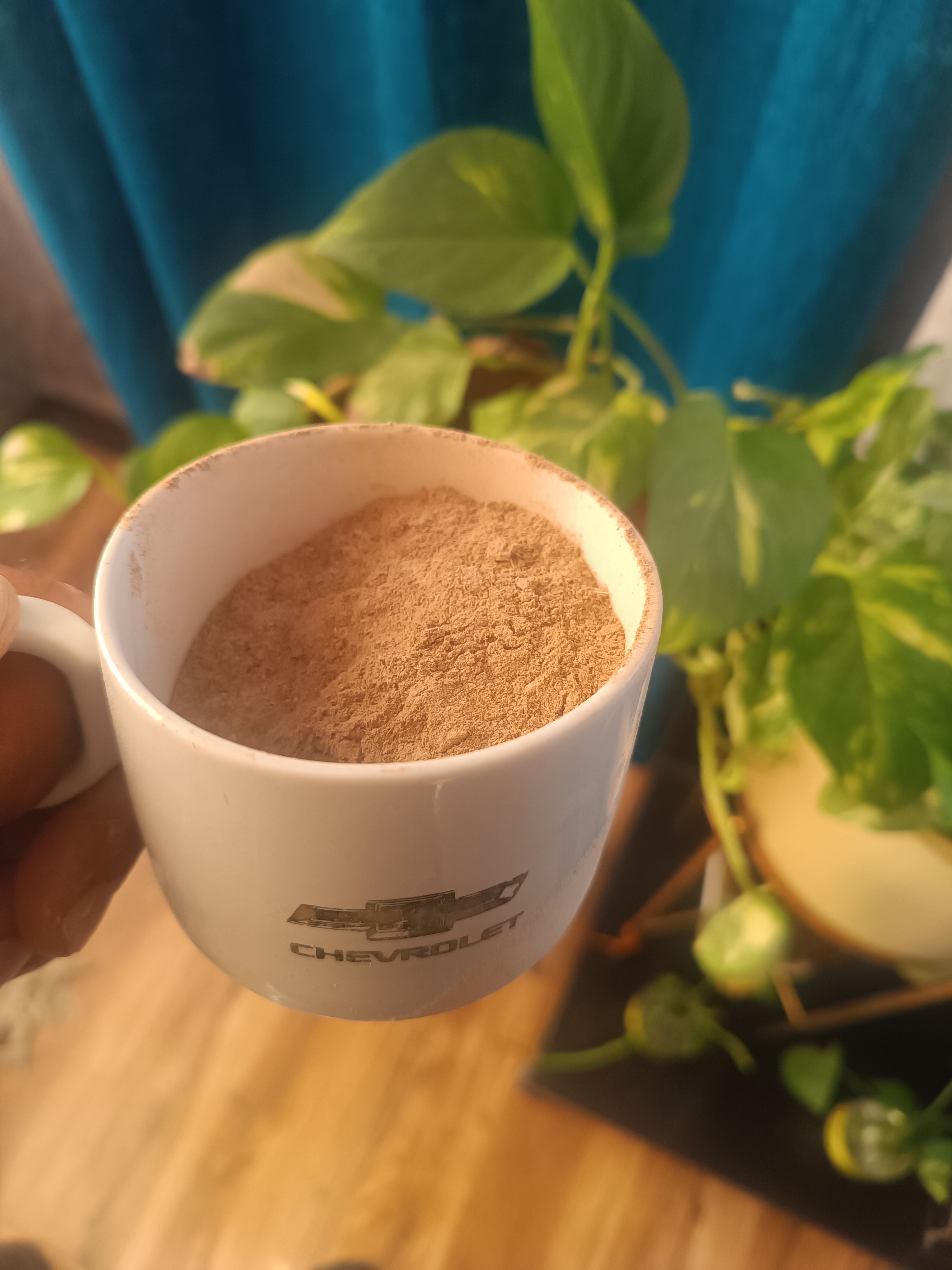 گرده لقاح نخل