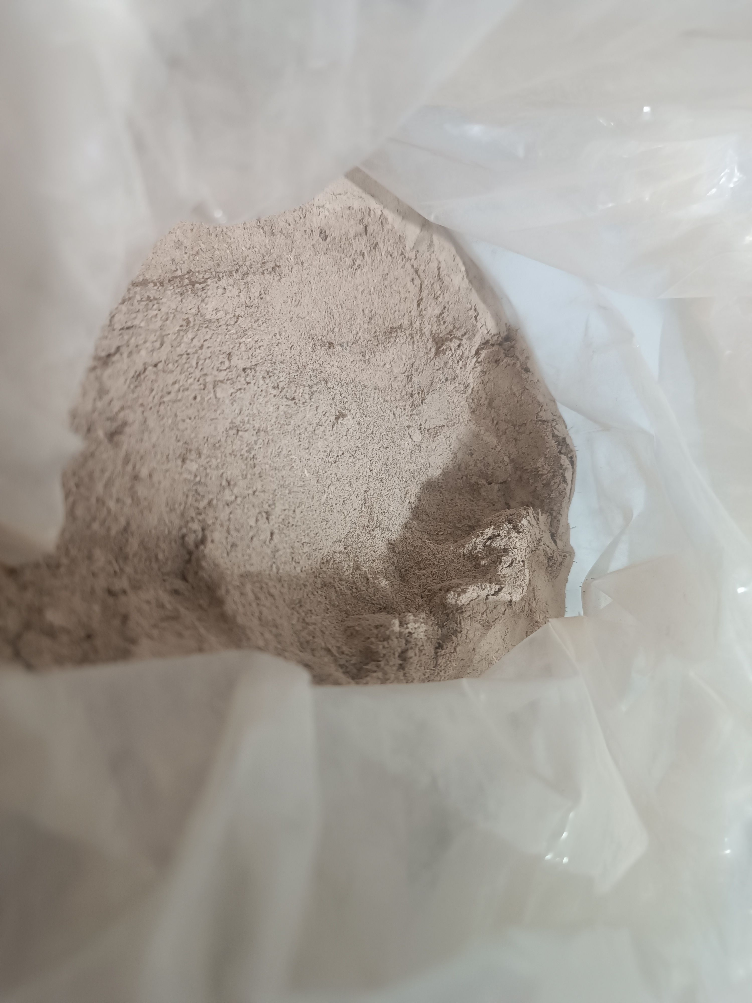 گرده لقاح نخل