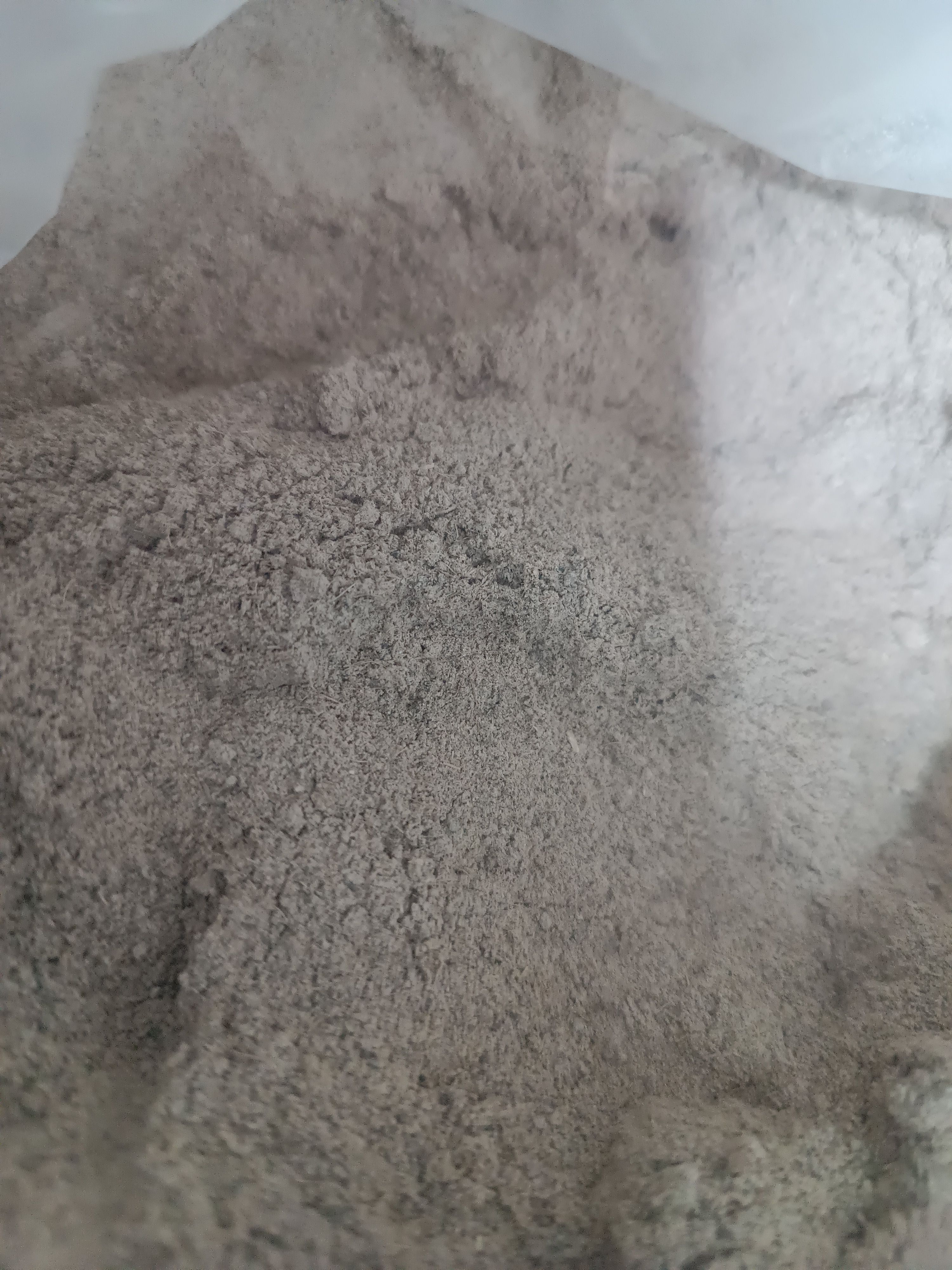 گرده لقاح نخل