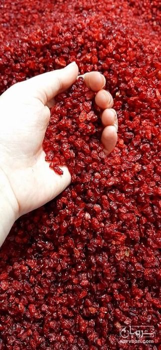 زرشک اعلا مخصوص صادرات ایرانی