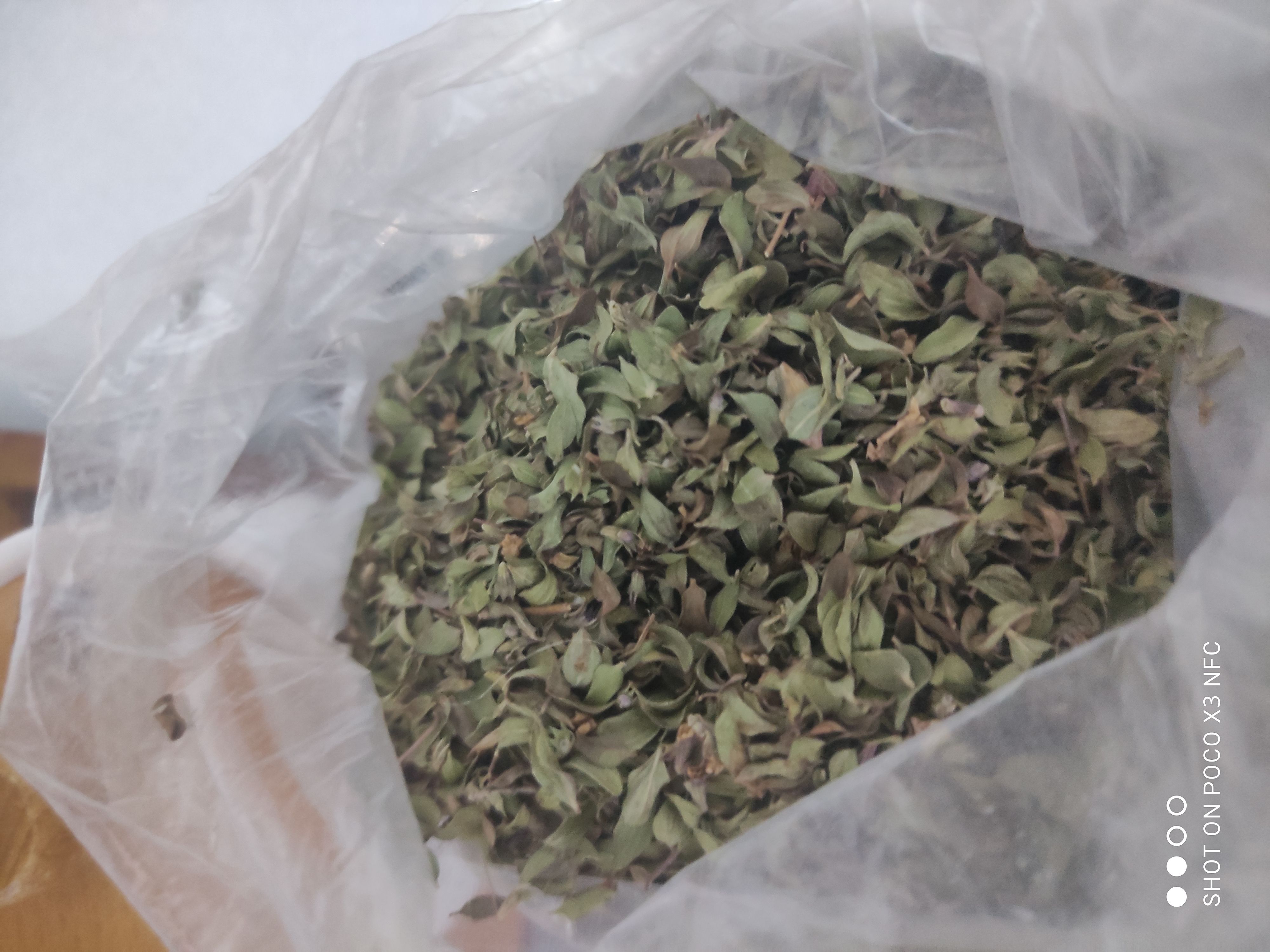 فروش آویشن