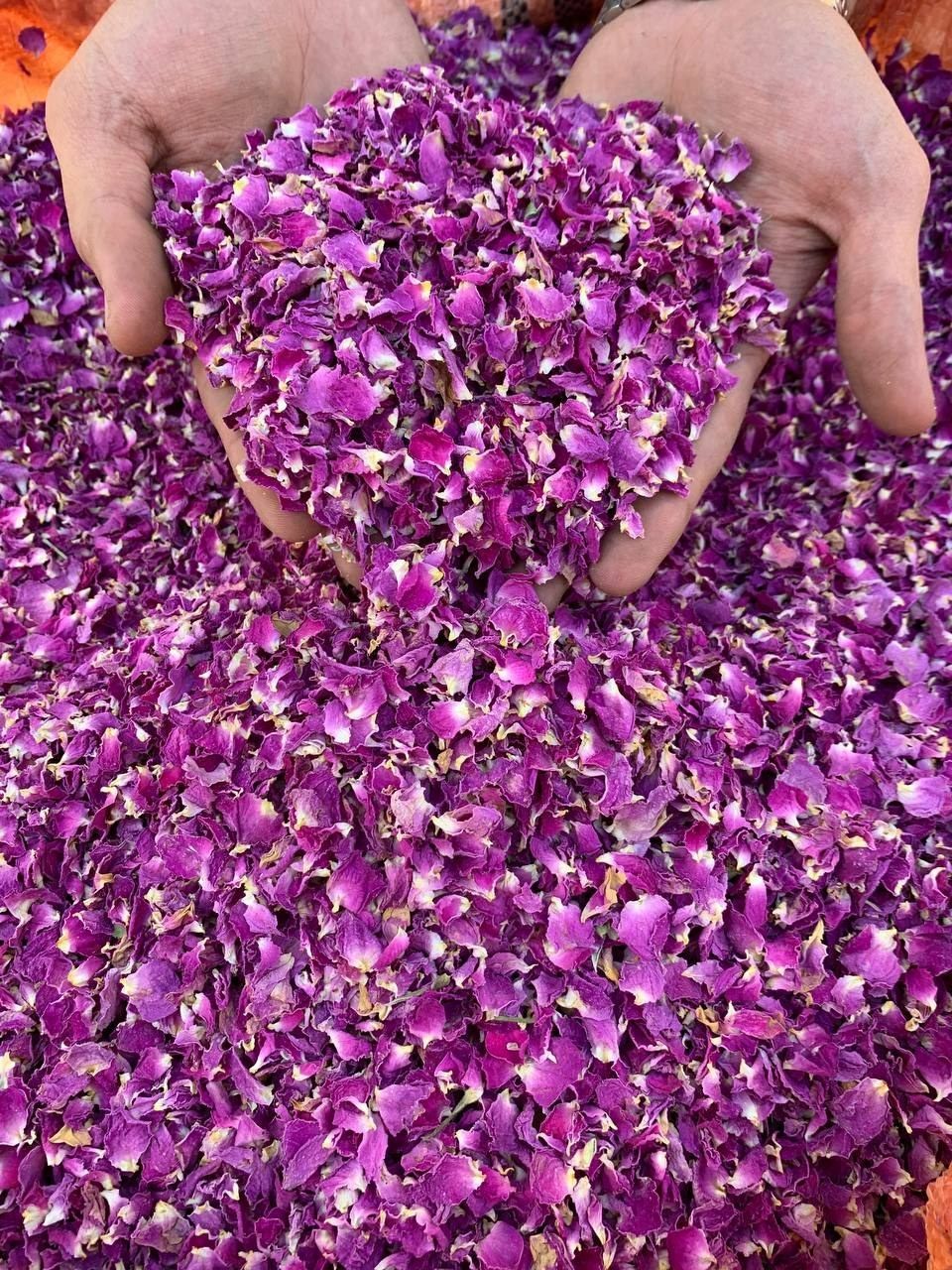 گل محمدی خشک