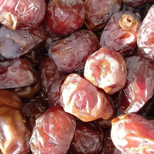 فروش خرما جنوب ایران