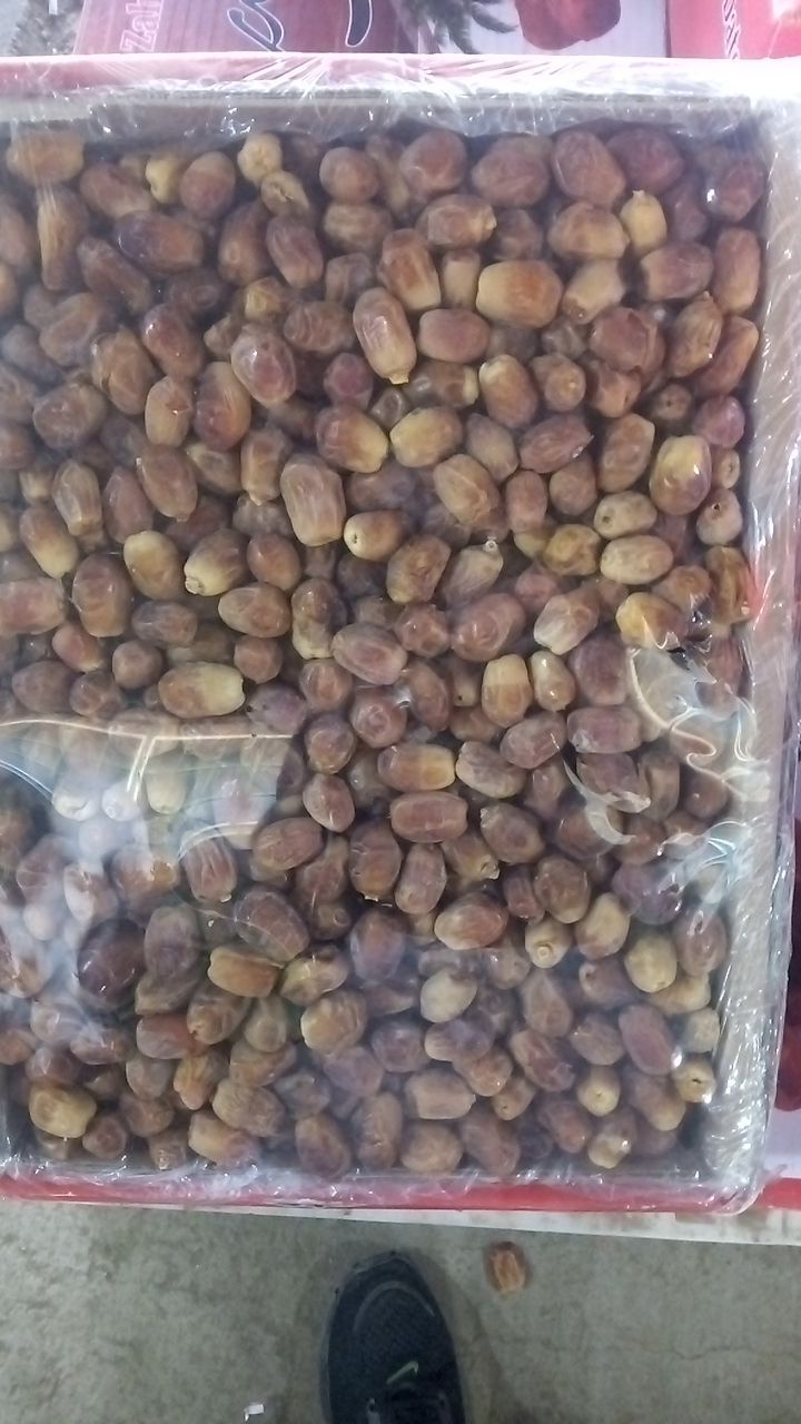پخش انواع خرما 