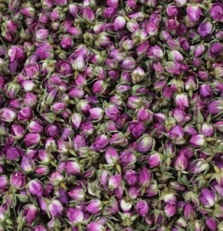 گل محمدی