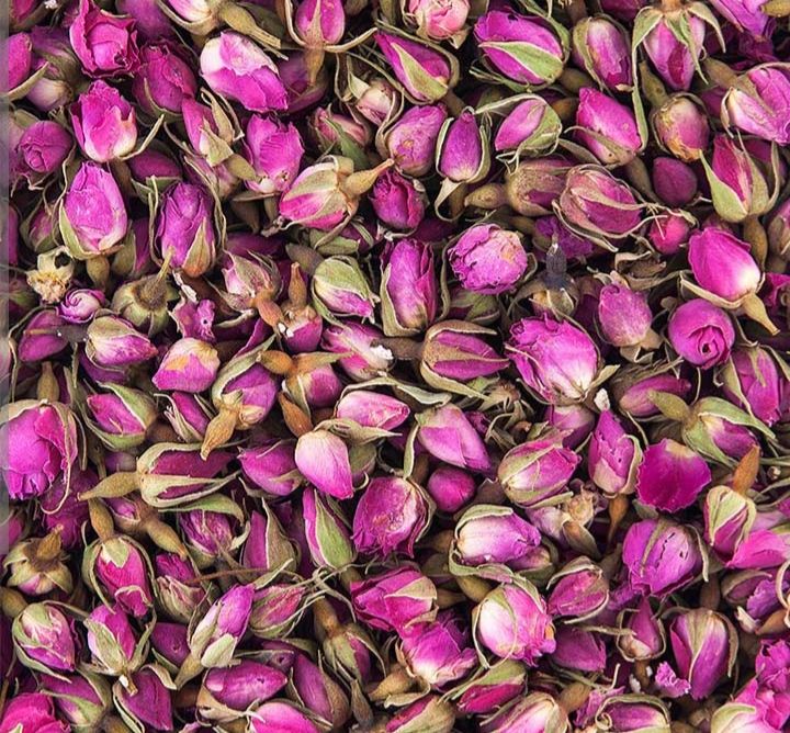 گل محمدی