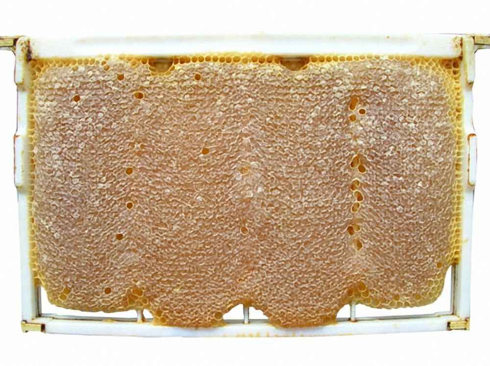 عسل طبیعی و حبوبات
