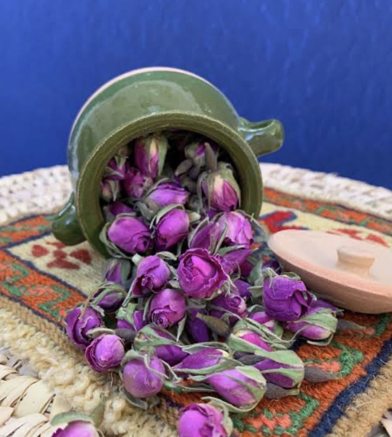 گل محمدی 
