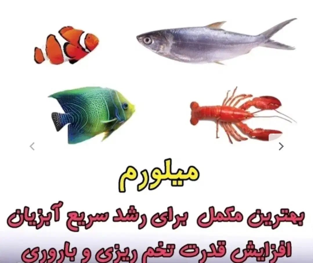 الغذاء المعجزة للرياضيين الحيوانات
