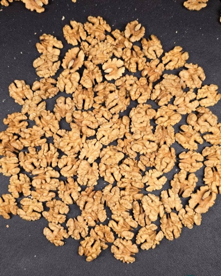 مغز گردو 