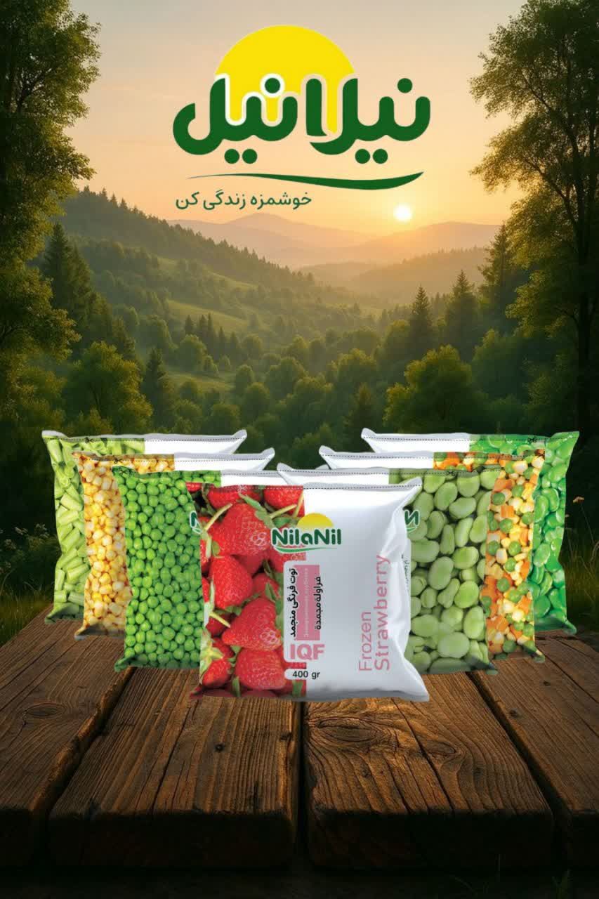 غذای نیمه اماده 400 گرمی عمده