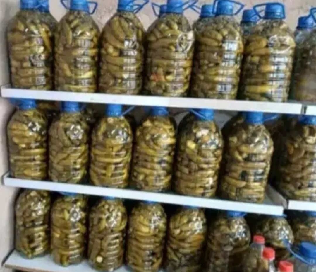 خیارشور پویا 