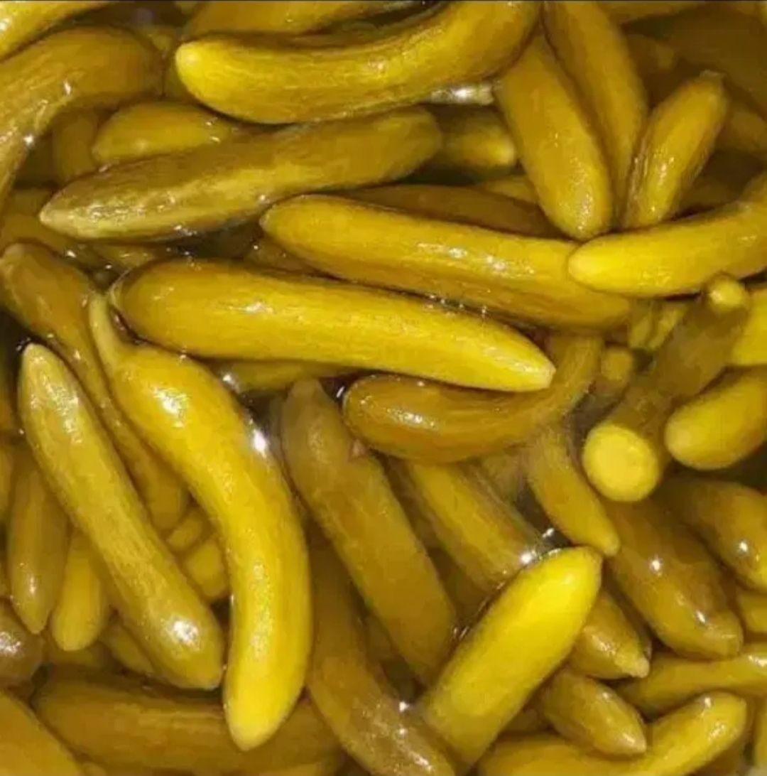خیارشور پویا 