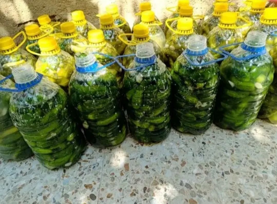 خیارشور پویا 