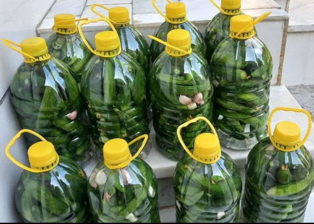 خیارشور پویا 