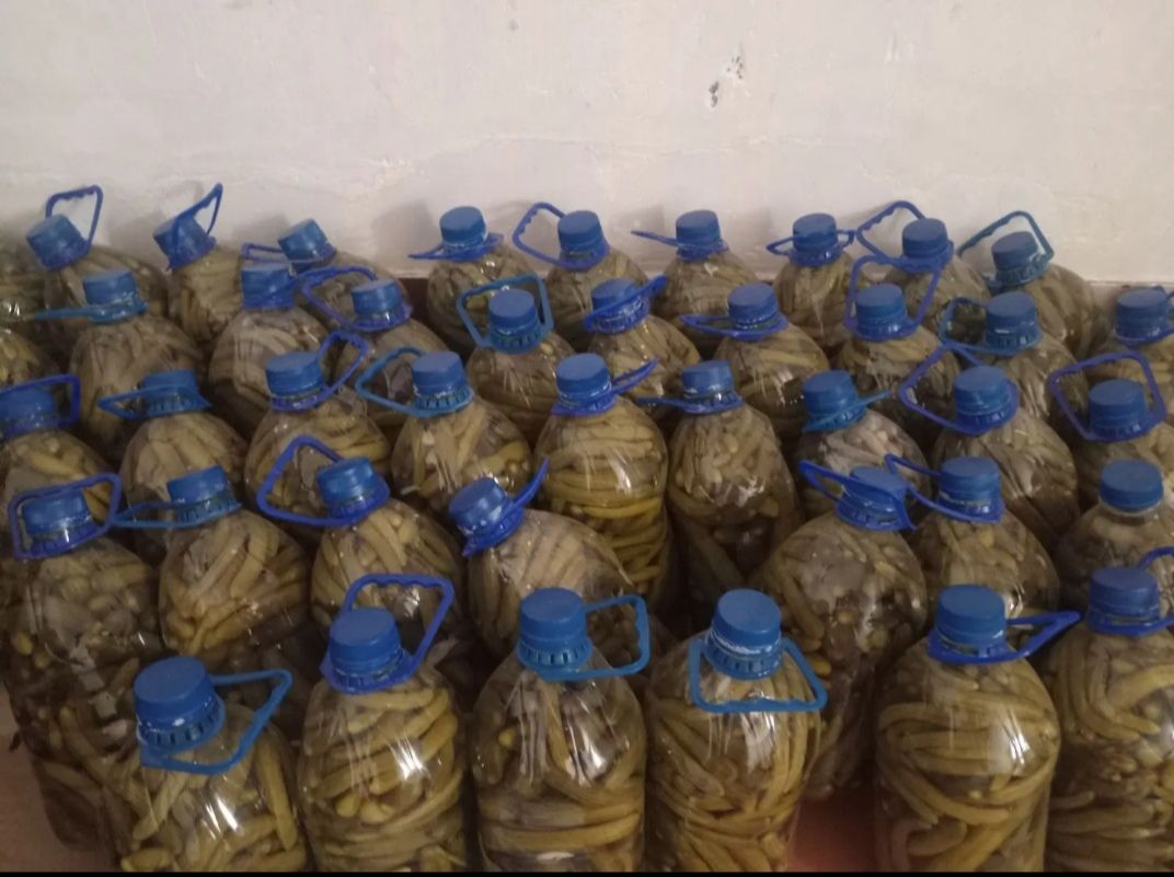 خیارشور پویا 
