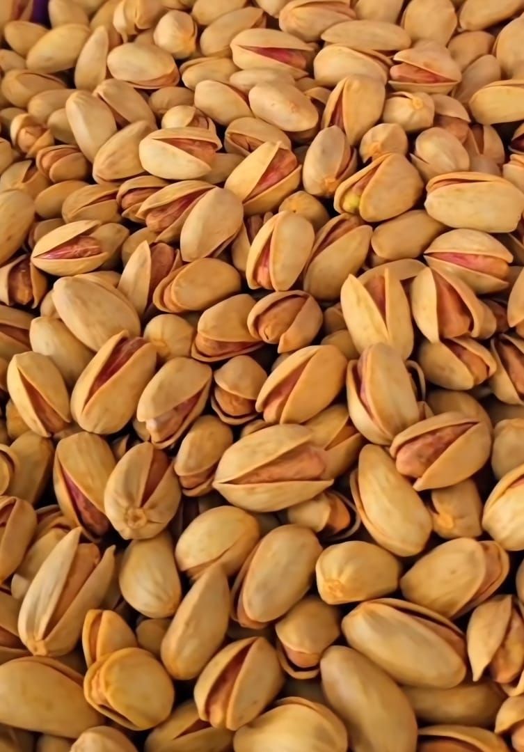 Iranian Pistachio 