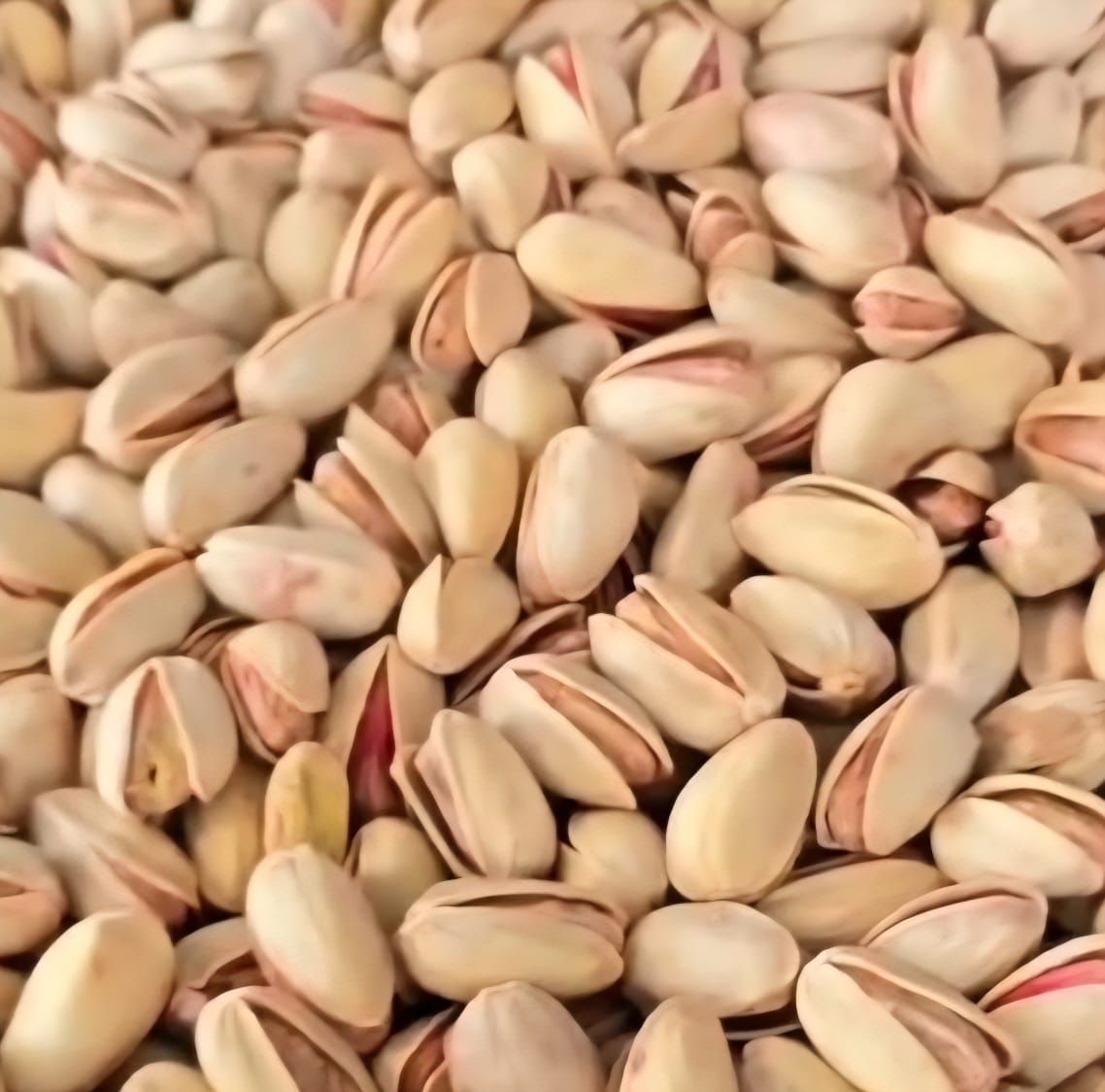Iranian Pistachio 