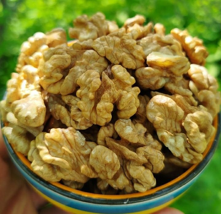 گردو صادراتی تویسرکان 