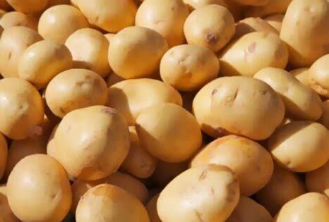 Sale of potatoes and onions grade 1