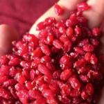 عرضه زرشک مرغوب ایرانی