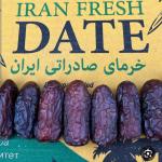 فروش بهترین خرما صادراتی 