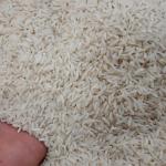 برنج هاشمی اصل ایران برنج هاشمی اصل ایران