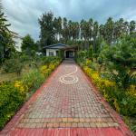 Paving design and implementation